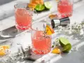 Erfrischende Sommer-Gin-Rezepte: Rosa Cocktails mit Orange und Limette, garniert mit Kräutern und Blüten. Perfekt für warme Tage.