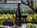 Rotwein Cuvée: Eine Flasche und ein Glas Rotwein stehen neben frischen Trauben. Ist diese Cuvée gut oder schlecht? Die Weinprobe wird es zeigen.
