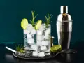Zwei erfrischende Gin-Tonic-Getränke mit Limettenscheiben und Rosmarin. Perfekt, um zu zeigen, was man mit Gin mischen kann.