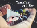 Hand hält Trauben, daneben ein Glas Rotwein. Tannine erklären den vollen rotwein geschmack.