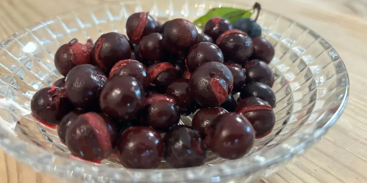 Schwarze Schlehen in einer Glasschale, bereit für leckere Schlehen Rezepte.