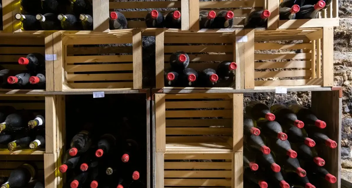 Holzregale mit vielen Flaschen Wein, die perfekt zum Wein lagern bereitstehen.