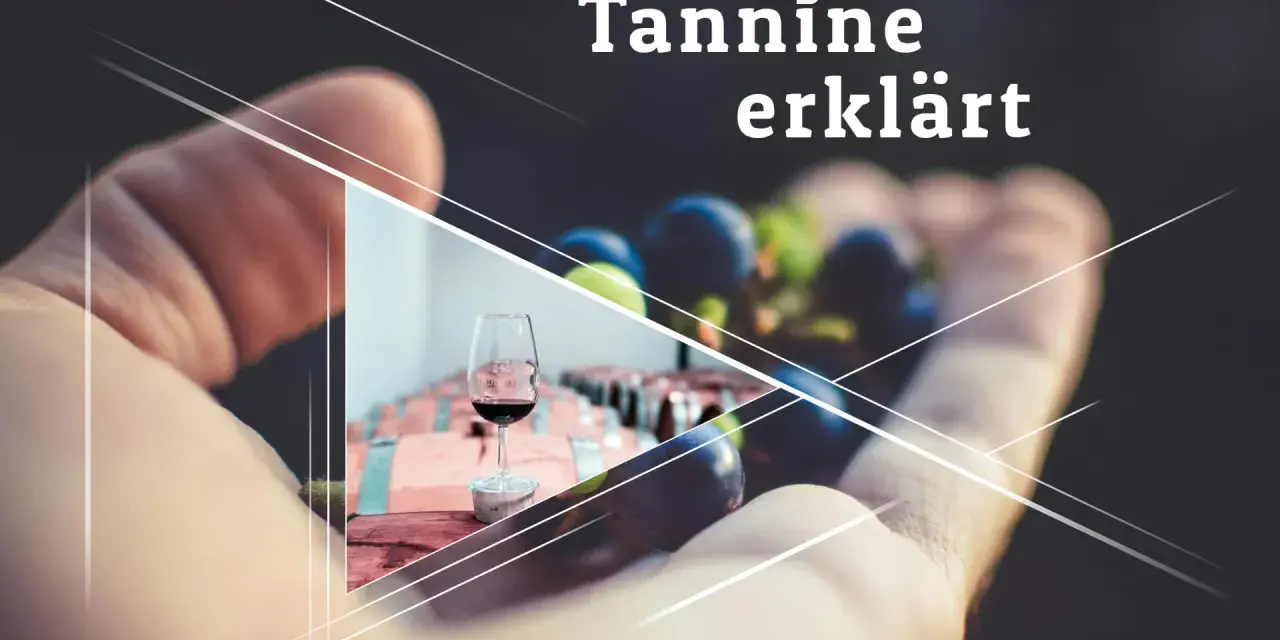 Hand hält Trauben, daneben ein Glas Rotwein. Tannine erklären den vollen rotwein geschmack.