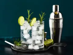 Zwei erfrischende Gin-Tonic-Getränke mit Limettenscheiben und Rosmarin. Perfekt, um zu zeigen, was man mit Gin mischen kann.