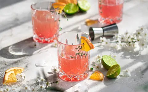 Erfrischende Sommer-Gin-Rezepte: Rosa Cocktails mit Orange und Limette, garniert mit Kräutern und Blüten. Perfekt für warme Tage.
