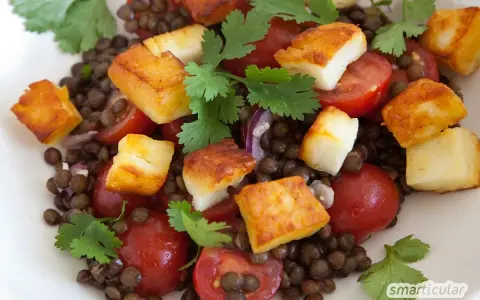 Ausgefallene Salate: Linsensalat mit gebratenem Halloumi, Kirschtomaten und Koriander. Ein bunter und leckerer Genuss.