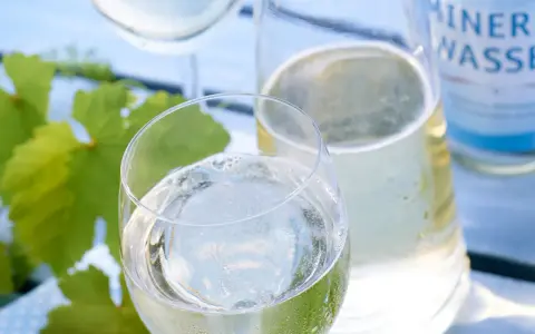 Erfrischendes Weinschorle-Rezept: Weißwein und Mineralwasser in Gläsern, daneben eine Karaffe und eine Flasche Mineralwasser. Grüne Weinblätter im Hintergrund.