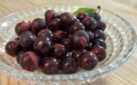 Schwarze Schlehen in einer Glasschale, bereit für leckere Schlehen Rezepte.