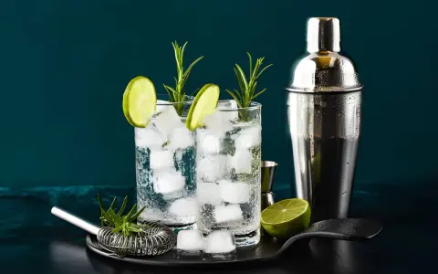 Zwei erfrischende Gin-Tonic-Getränke mit Limettenscheiben und Rosmarin. Perfekt, um zu zeigen, was man mit Gin mischen kann.