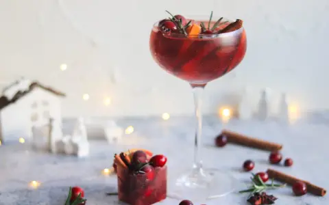 Festliches Winter Aperol Spritz Rezept mit Cranberries, Orange & Zimt. Ein Hauch von Weihnachten im Glas.