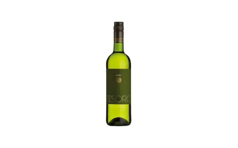 Grüne Flasche mit dunklem Etikett, darauf "Verdejo" und "TESORO". Ein spanischer Weißwein, der an deutsche Rieslinge erinnert.