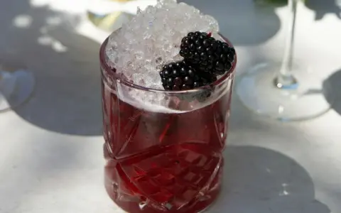 Erfrischender Brombeer-Cocktail mit zerstoßenem Eis und frischen Beeren. Perfekt für sommerliche longdrink rezepte.