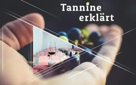 Hand hält Trauben, daneben ein Glas Rotwein. Tannine erklären den vollen rotwein geschmack.
