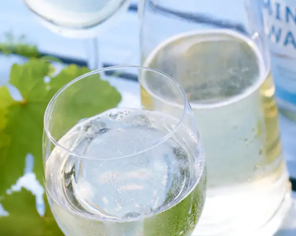 Erfrischendes Weinschorle-Rezept: Weißwein und Mineralwasser in Gläsern, daneben eine Karaffe und eine Flasche Mineralwasser. Grüne Weinblätter im Hintergrund.