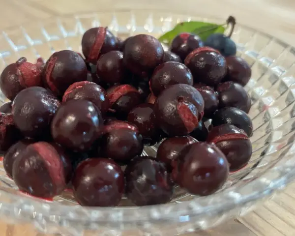 Schwarze Schlehen in einer Glasschale, bereit für leckere Schlehen Rezepte.