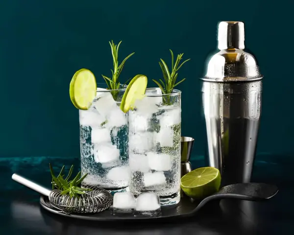 Zwei erfrischende Gin-Tonic-Getränke mit Limettenscheiben und Rosmarin. Perfekt, um zu zeigen, was man mit Gin mischen kann.