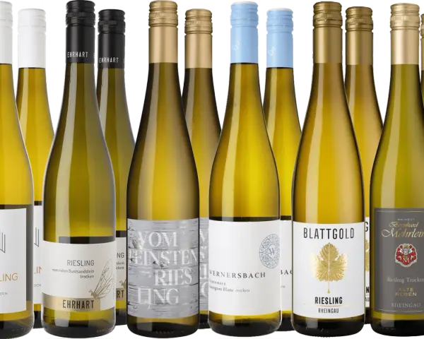 Eine Auswahl an Flaschen mit Gutedel Wein, darunter Riesling und Sauvignon Blanc, bereit für den Genuss.