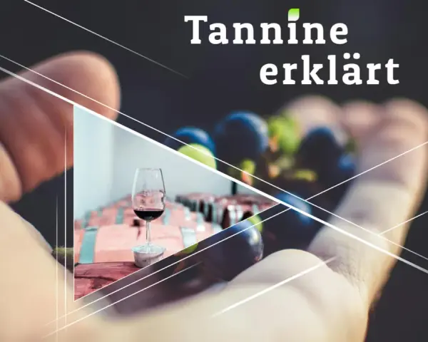 Hand hält Trauben, daneben ein Glas Rotwein. Tannine erklären den vollen rotwein geschmack.