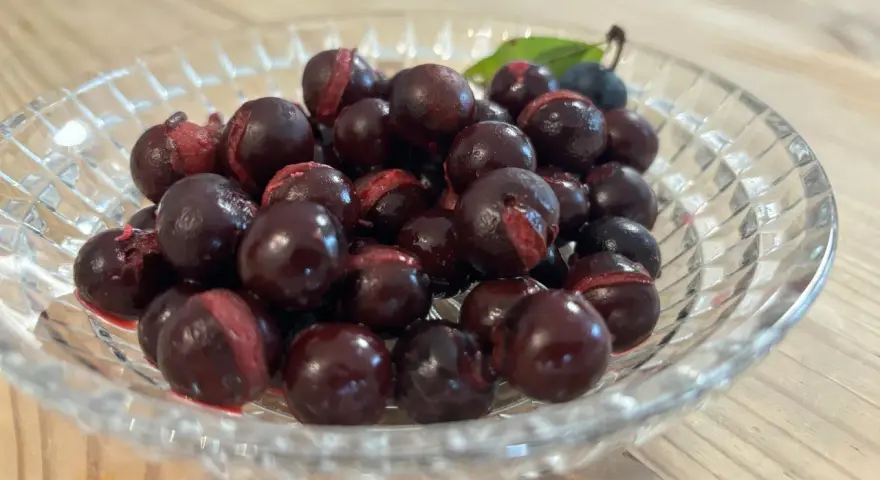 Schwarze Schlehen in einer Glasschale, bereit für leckere Schlehen Rezepte.