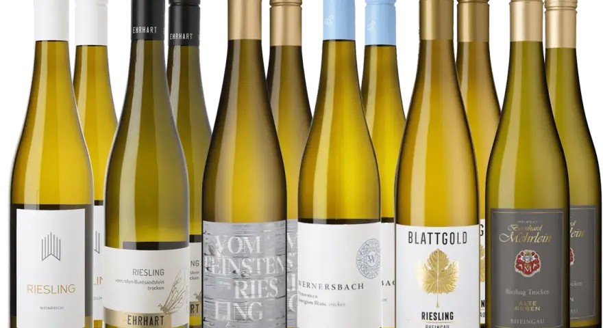 Eine Auswahl an Flaschen mit Gutedel Wein, darunter Riesling und Sauvignon Blanc, bereit für den Genuss.