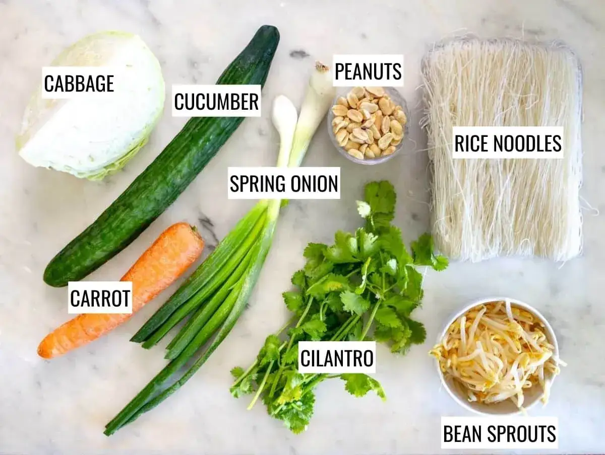 Zutaten f&uuml;r einen frischen mie nudelsalat: Kohl, Gurke, Karotte, Fr&uuml;hlingszwiebeln, Koriander, Sojasprossen, Erdn&uuml;sse und Reisnudeln.