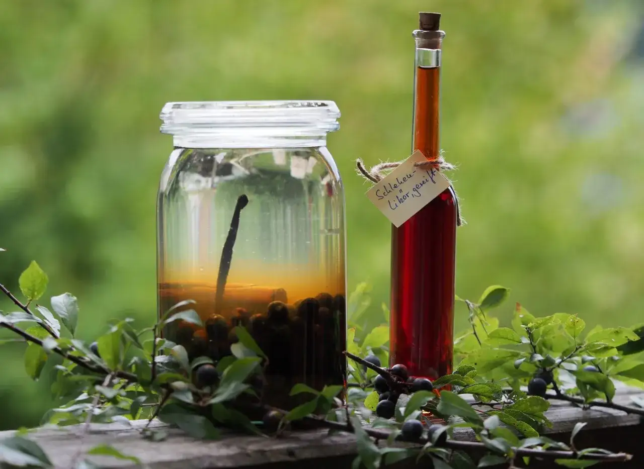Ein Glas mit Schlehen und eine Flasche sloe gin, umgeben von Schlehenzweigen.